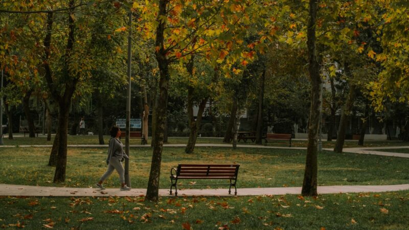 The Fresh Start Effect Says September Beats January. Gym Visits Jump 47% at a New Semester