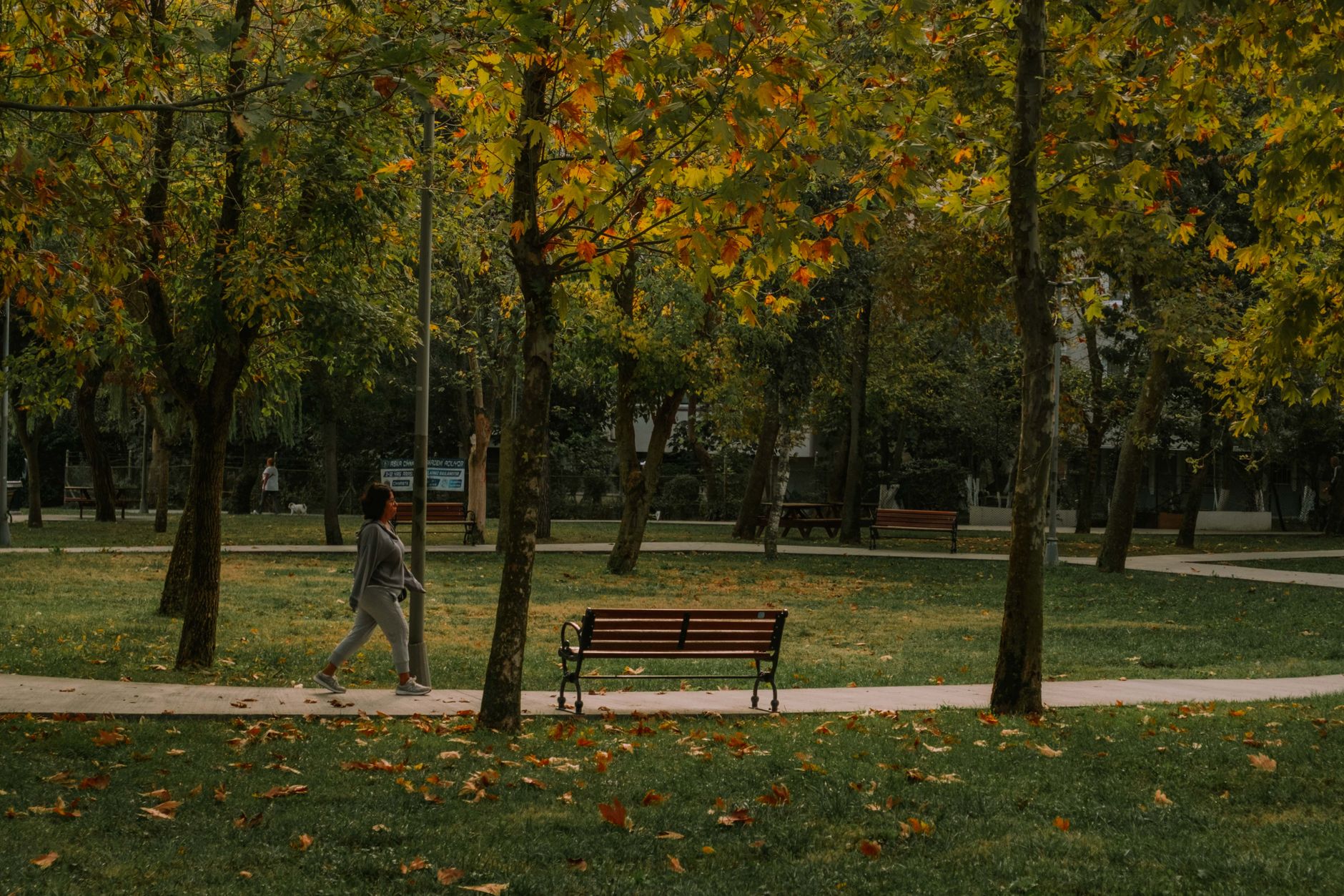 The Fresh Start Effect Says September Beats January. Gym Visits Jump 47% at a New Semester