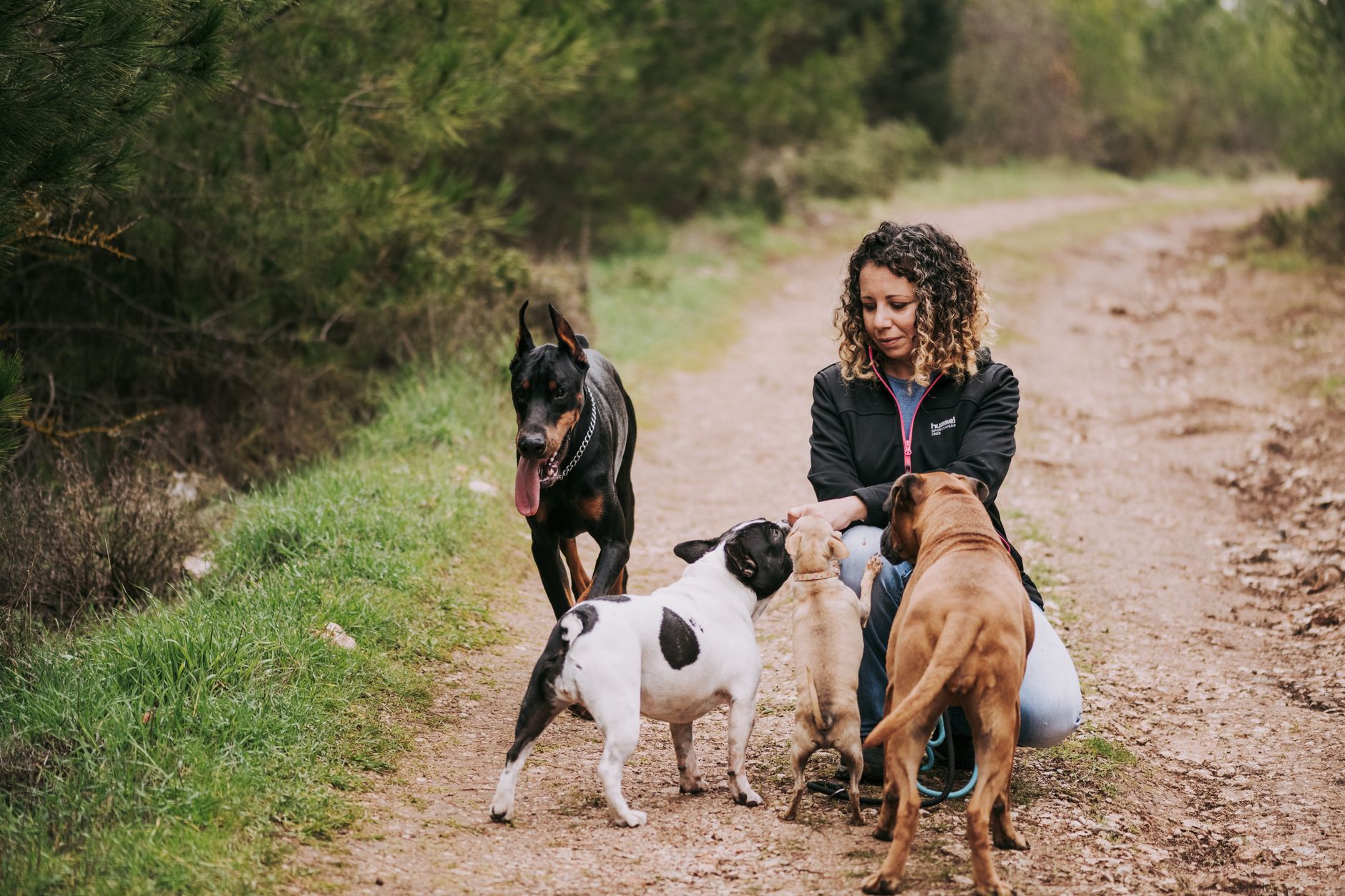 Woman interacting with dogs on a forest path during a walk, illustrating Pet Sitting and Dog Walking